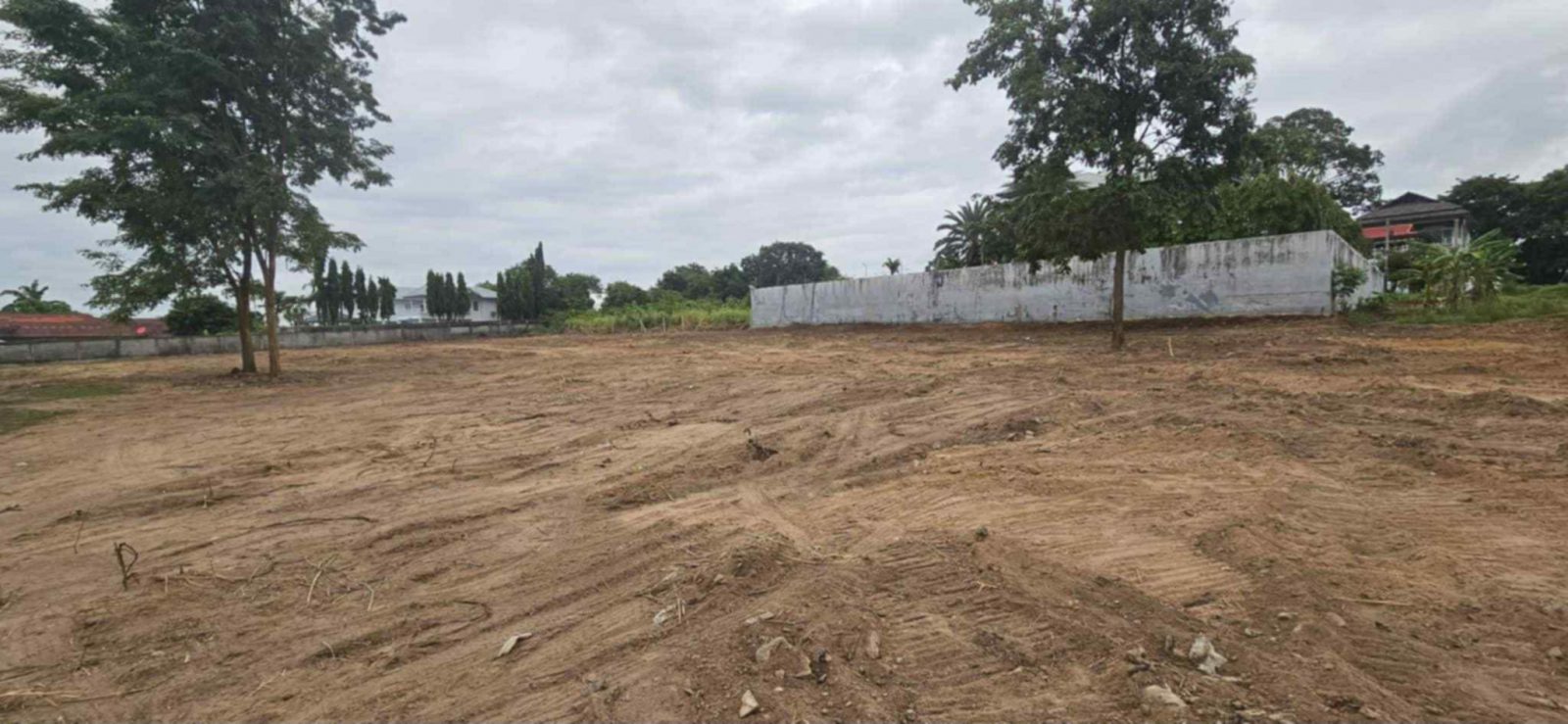 Land For Sale - Only 3.5 Million THB per Rai