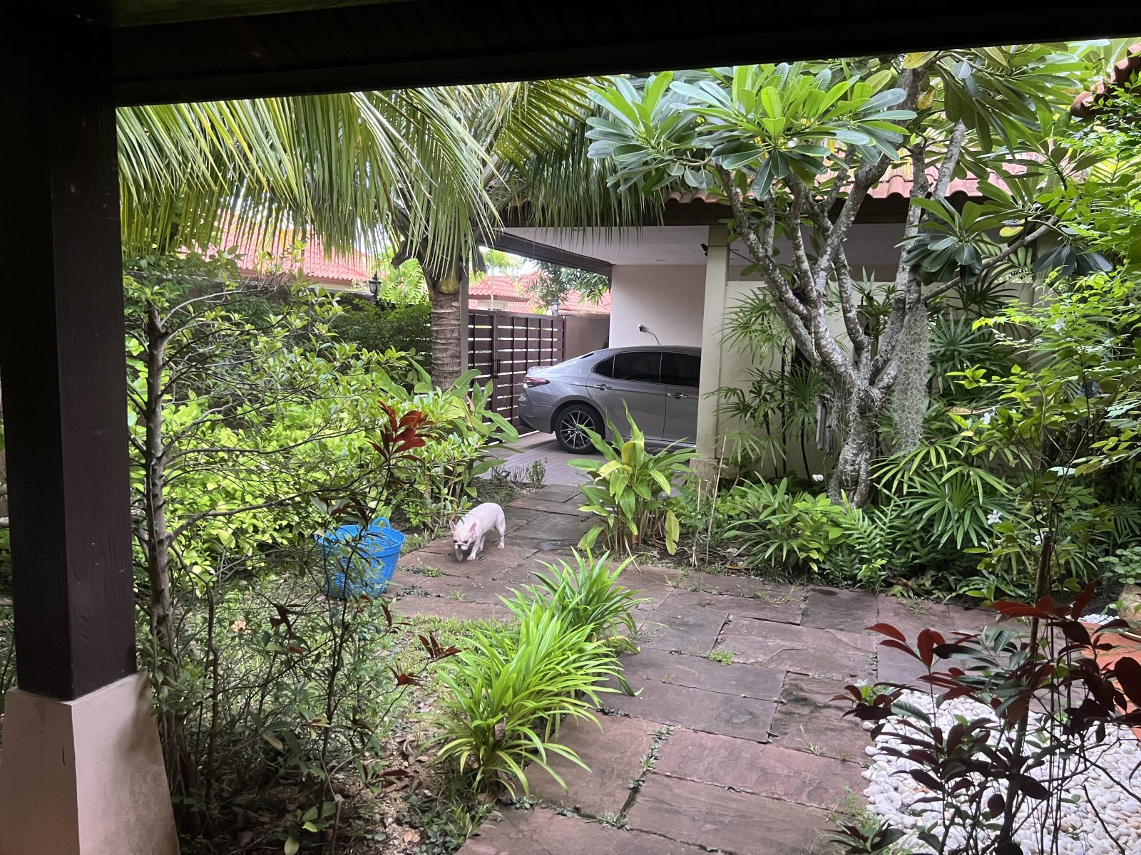 Tranquil Garden - Baan Balina 2 Rental