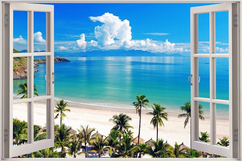 A Room with a View