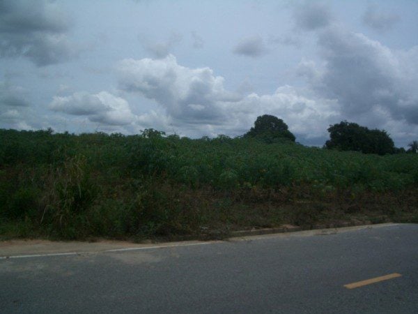 Land For Sale. thumbnail