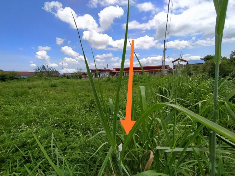 Land For Sale In Huay Yai thumbnail