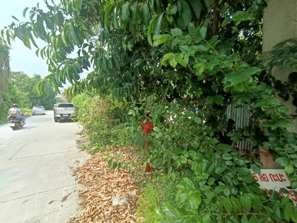 Land for sale Pratumnak thumbnail