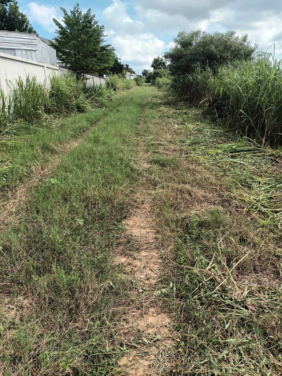 Land For Sale thumbnail