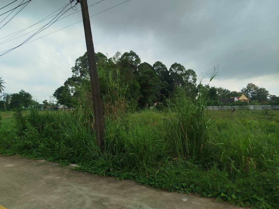 Spacious Land Plot for Sale - Huay Yai, Pattaya thumbnail